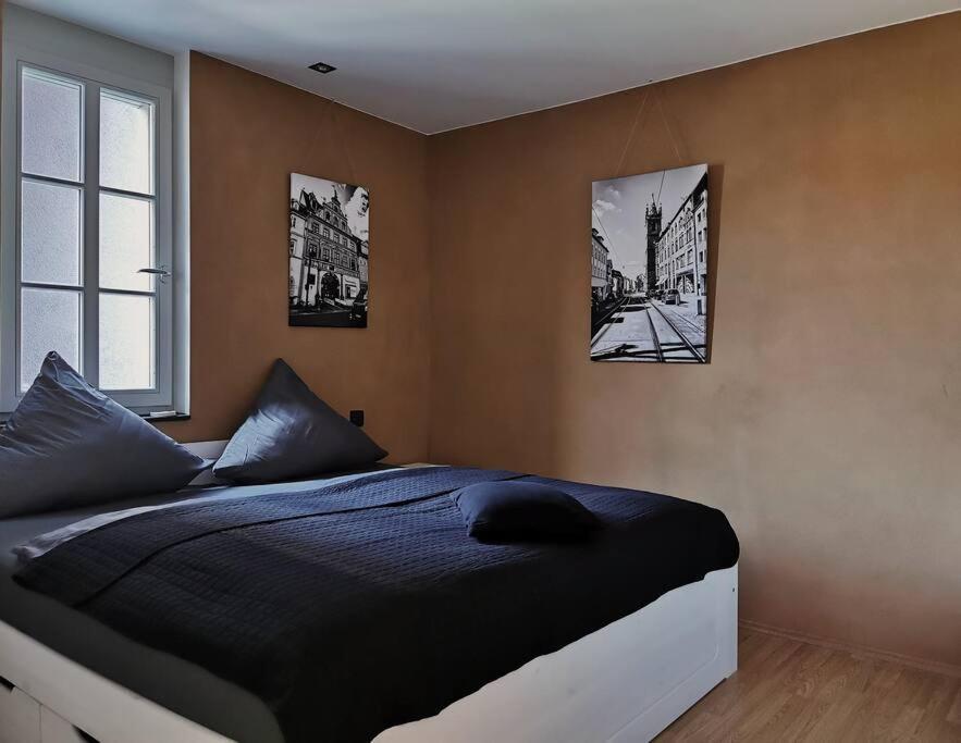 Ferienwohnung Im Bruehl エアフルト エクステリア 写真